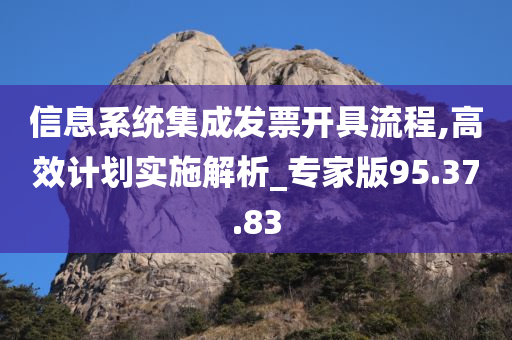 信息系统集成发票开具流程,高效计划实施解析_专家版95.37.83