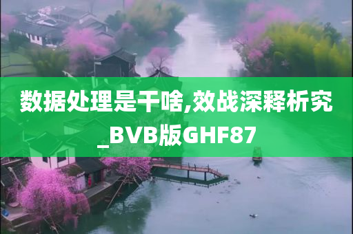 数据处理是干啥,效战深释析究_BVB版GHF87