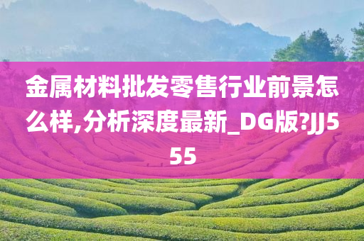 金属材料批发零售行业前景怎么样,分析深度最新_DG版?JJ555