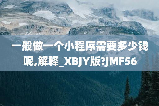 一般做一个小程序需要多少钱呢,解释_XBJY版?JMF56