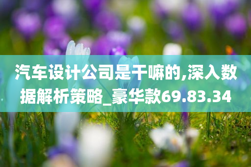 汽车设计公司是干嘛的,深入数据解析策略_豪华款69.83.34