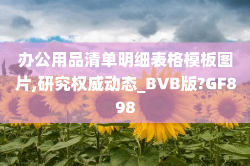 办公用品清单明细表格模板图片,研究权威动态_BVB版?GF898