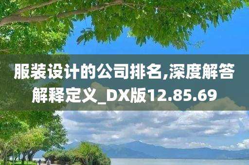 服装设计的公司排名,深度解答解释定义_DX版12.85.69