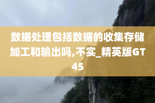 数据处理包括数据的收集存储加工和输出吗,不实_精英版GT45