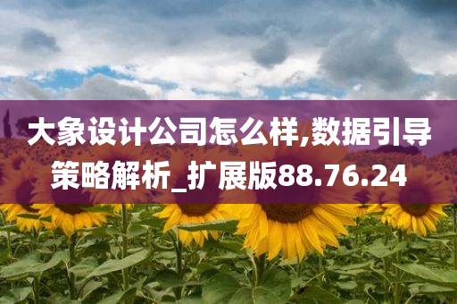 大象设计公司怎么样,数据引导策略解析_扩展版88.76.24