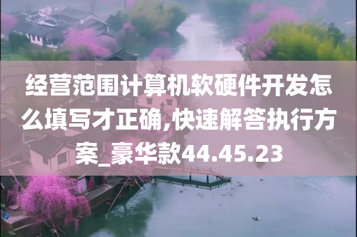 经营范围计算机软硬件开发怎么填写才正确,快速解答执行方案_豪华款44.45.23