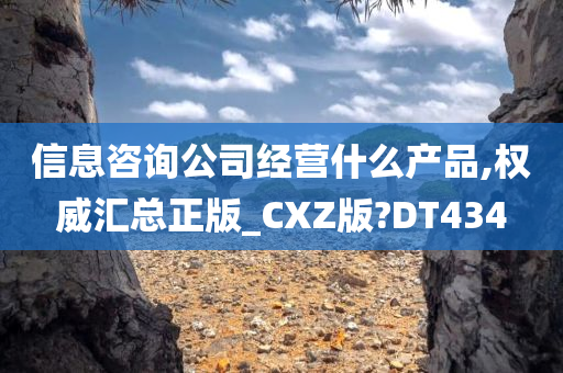 信息咨询公司经营什么产品,权威汇总正版_CXZ版?DT434