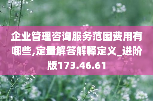 企业管理咨询服务范围费用有哪些,定量解答解释定义_进阶版173.46.61