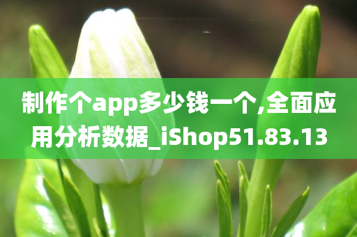 制作个app多少钱一个,全面应用分析数据_iShop51.83.13