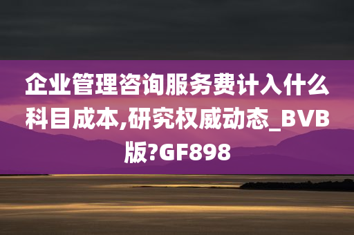 企业管理咨询服务费计入什么科目成本,研究权威动态_BVB版?GF898