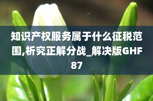 知识产权服务属于什么征税范围,析究正解分战_解决版GHF87