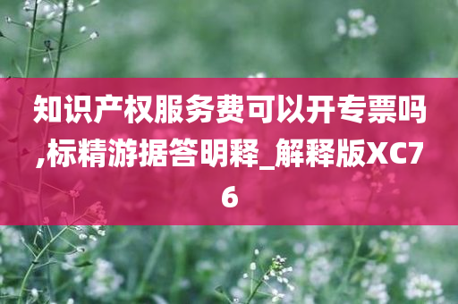 知识产权服务费可以开专票吗,标精游据答明释_解释版XC76