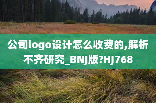 公司logo设计怎么收费的,解析不齐研究_BNJ版?HJ768