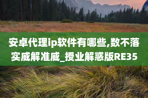 安卓代理ip软件有哪些,数不落实威解准威_授业解惑版RE35