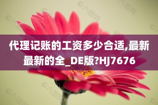 代理记账的工资多少合适,最新最新的全_DE版?HJ7676