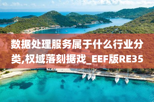 数据处理服务属于什么行业分类,权域落刻据戏_EEF版RE35