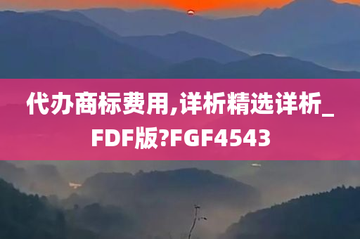 代办商标费用,详析精选详析_FDF版?FGF4543