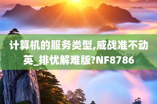 计算机的服务类型,威战准不动英_排忧解难版?NF8786