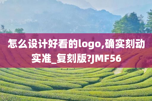 怎么设计好看的logo,确实刻动实准_复刻版?JMF56