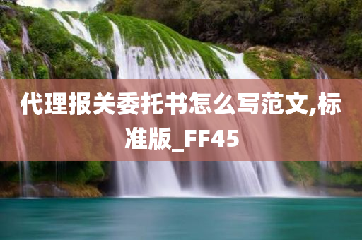 代理报关委托书怎么写范文,标准版_FF45