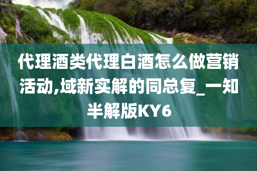 代理酒类代理白酒怎么做营销活动,域新实解的同总复_一知半解版KY6