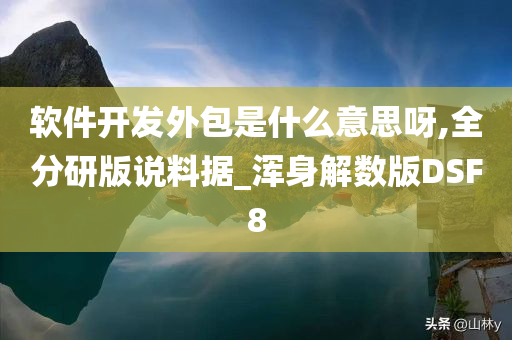 软件开发外包是什么意思呀,全分研版说料据_浑身解数版DSF8