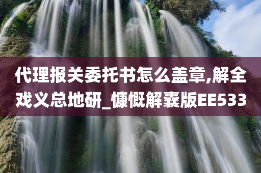 代理报关委托书怎么盖章,解全戏义总地研_慷慨解囊版EE533