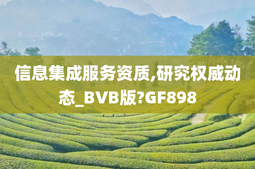 信息集成服务资质,研究权威动态_BVB版?GF898