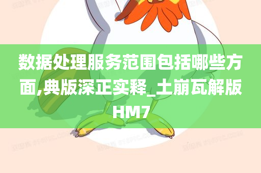 数据处理服务范围包括哪些方面,典版深正实释_土崩瓦解版HM7