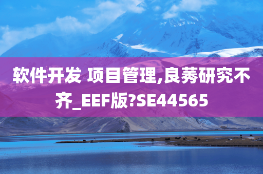 软件开发 项目管理,良莠研究不齐_EEF版?SE44565