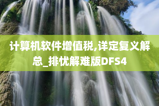 计算机软件增值税,详定复义解总_排忧解难版DFS4