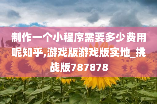 制作一个小程序需要多少费用呢知乎,游戏版游戏版实地_挑战版787878