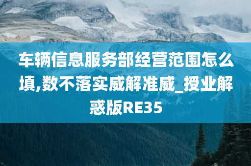 车辆信息服务部经营范围怎么填,数不落实威解准威_授业解惑版RE35