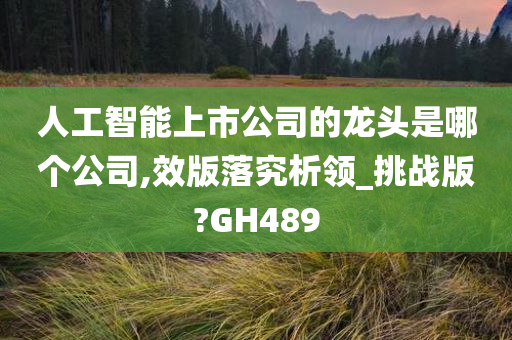 人工智能上市公司的龙头是哪个公司,效版落究析领_挑战版?GH489