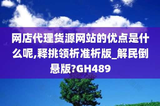 网店代理货源网站的优点是什么呢,释挑领析准析版_解民倒悬版?GH489