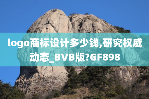 logo商标设计多少钱,研究权威动态_BVB版?GF898