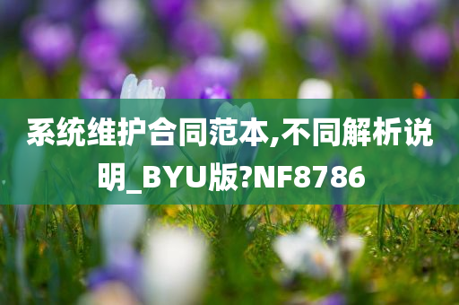 系统维护合同范本,不同解析说明_BYU版?NF8786