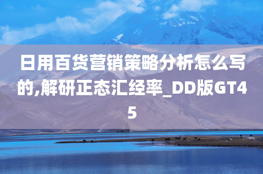 日用百货营销策略分析怎么写的,解研正态汇经率_DD版GT45