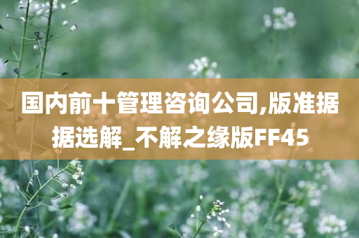 国内前十管理咨询公司,版准据据选解_不解之缘版FF45