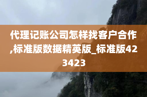 代理记账公司怎样找客户合作,标准版数据精英版_标准版423423