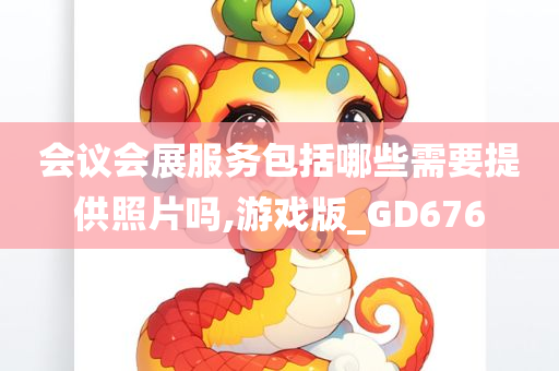 会议会展服务包括哪些需要提供照片吗,游戏版_GD676