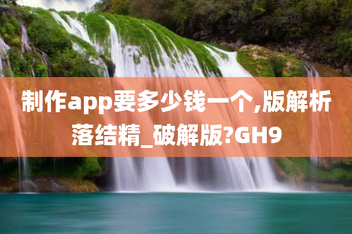 制作app要多少钱一个,版解析落结精_破解版?GH9