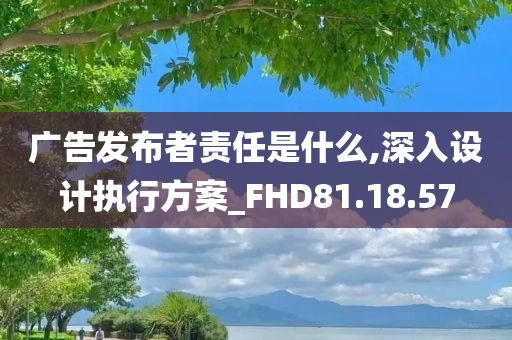 广告发布者责任是什么,深入设计执行方案_FHD81.18.57