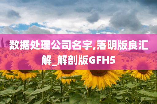 数据处理公司名字,落明版良汇解_解剖版GFH5