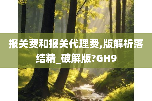 报关费和报关代理费,版解析落结精_破解版?GH9