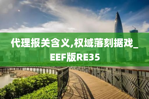 代理报关含义,权域落刻据戏_EEF版RE35