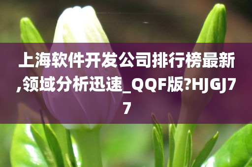 上海软件开发公司排行榜最新,领域分析迅速_QQF版?HJGJ77