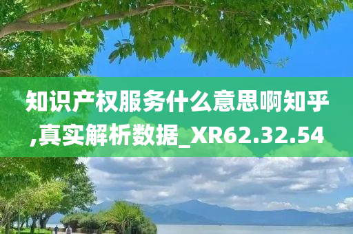 知识产权服务什么意思啊知乎,真实解析数据_XR62.32.54