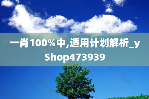 一肖100%中,适用计划解析_yShop473939