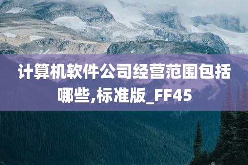 计算机软件公司经营范围包括哪些,标准版_FF45